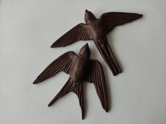 Dekoratyvinė kregždutė